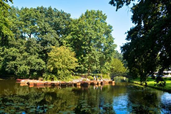 Bürgerpark und Stadtwald